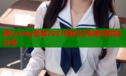 糖心vlog圣诞2021精彩记录高清剪辑分享