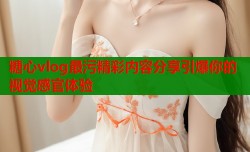 糖心vlog最污精彩内容分享引爆你的视觉感官体验