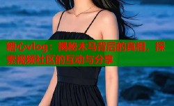 糖心vlog：揭秘木马背后的真相，探索视频社区的互动与分享